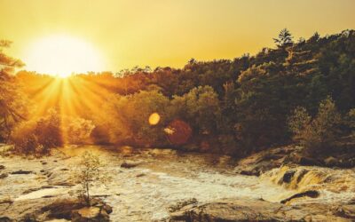 The Courage to Be Real: What Truly Makes a Good Writer