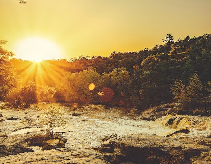 sunray through trees