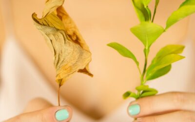 The Cost of Unhealed Trauma: What the lives of Epstein and Maxwell teach us about repeating the wounds of our past