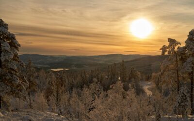 The Language of Silence:On Stillness, Presence, and Deep Listening