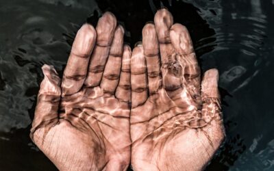 Is It Ethical to Profit from Trauma? A Societal Critique