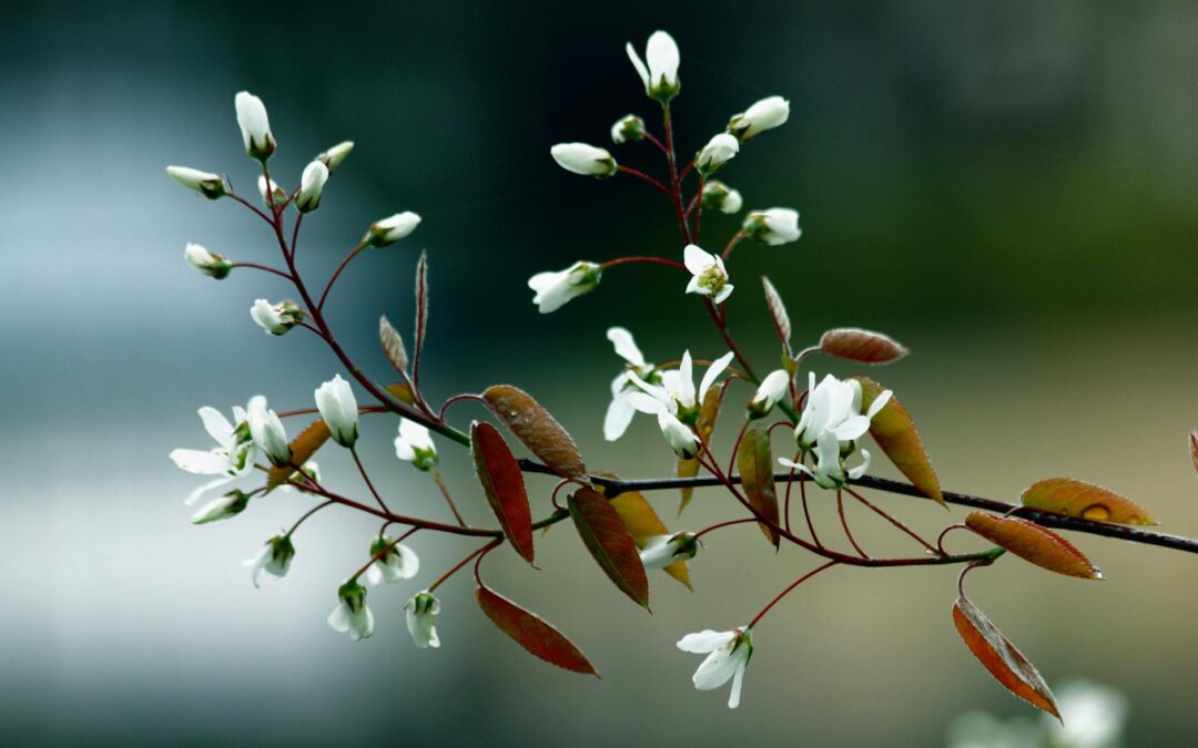 The beauty of being undefended